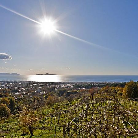 Tenuta Le Fornacelle Торре-дель-Греко Екстер'єр фото